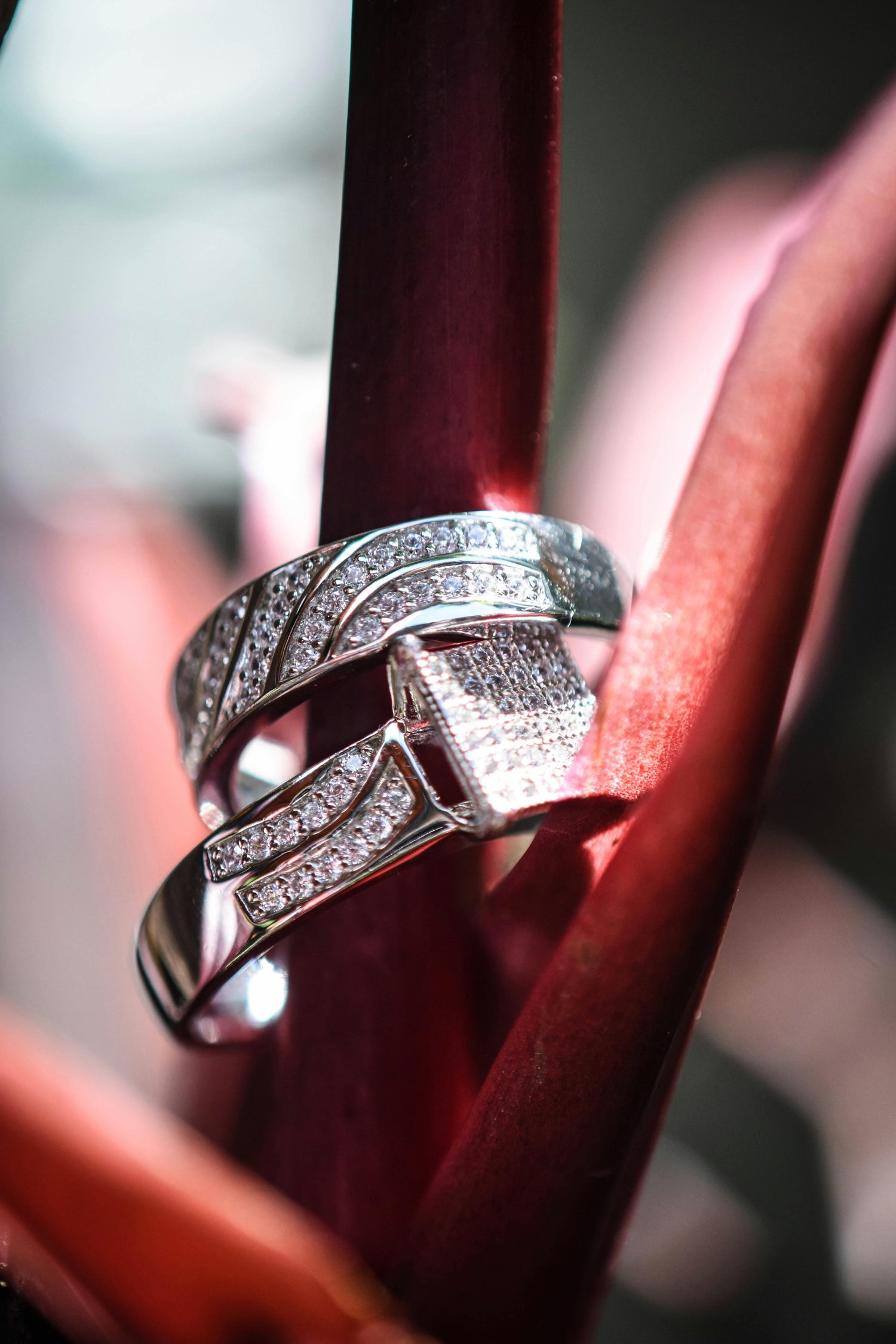 Rings...